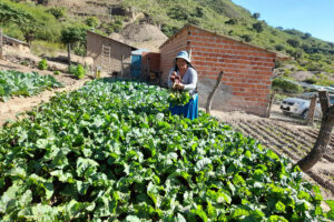 Dérèglement climatique : eau et agriculture biologique à Betanzos