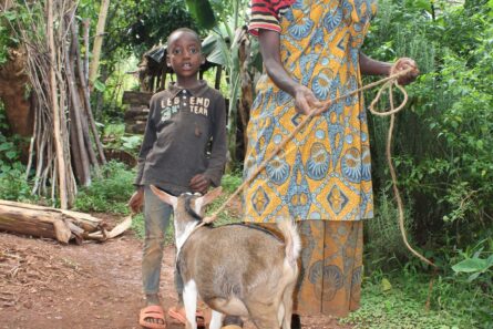 Appui intégré pour un élevage familial résilient: vers l’autonomisation de ménages ruraux vulnérables au Burundi