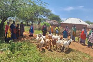 Autonomisation de femmes massaï et éducation de qualité des jeunes filles dans 2 villages du District de Longido