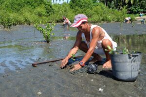 Renforcement de la résilience et des conditions de vie de 1.785 ménages paysans et pêcheurs à Mindanao