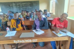 Poursuite de l&rsquo;aide aux producteurs d&rsquo;ananas au Bénin par le développement économique de la filière